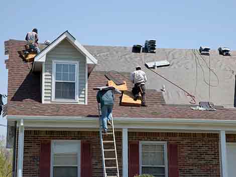 Royal Roofing Services